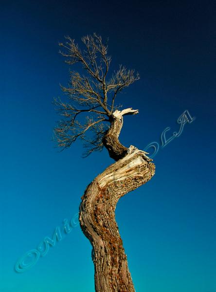 © Smike Photography by Michael Sola - All Rights Reserved